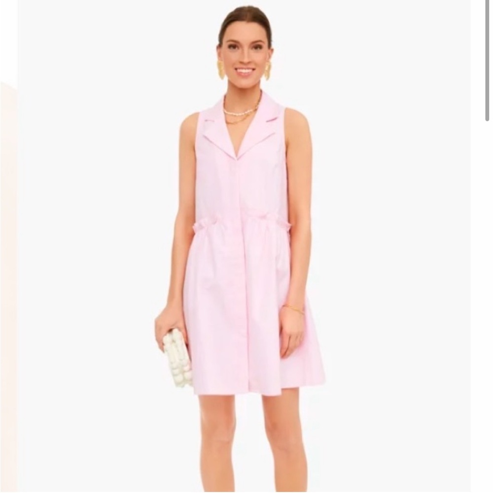 Tuckernuck Pink Mini Dress